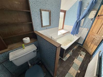 Picture 12